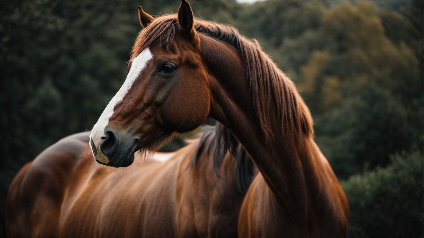 Equine Body Language