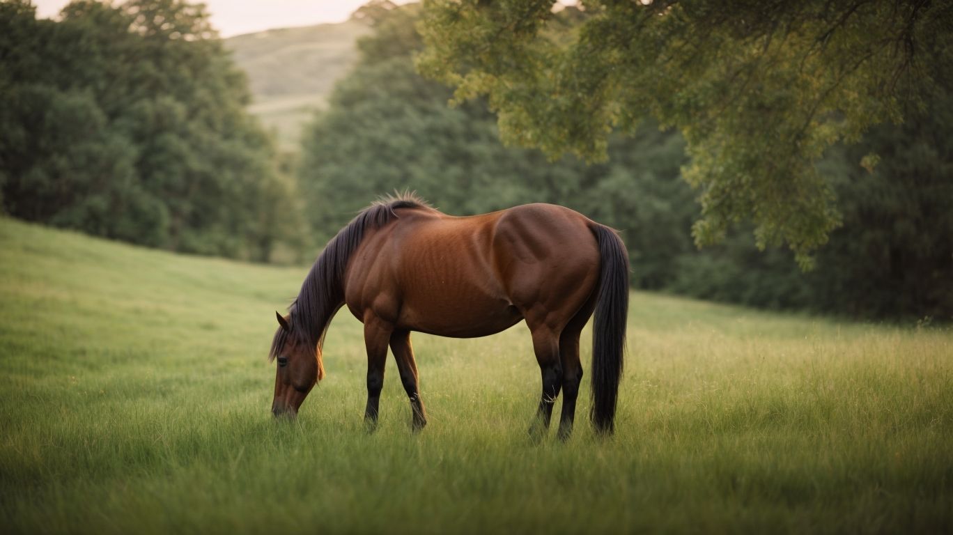 Preventing Separation Anxiety in Horses - Horse Behavior Management - Coping with Separation Anxiety 