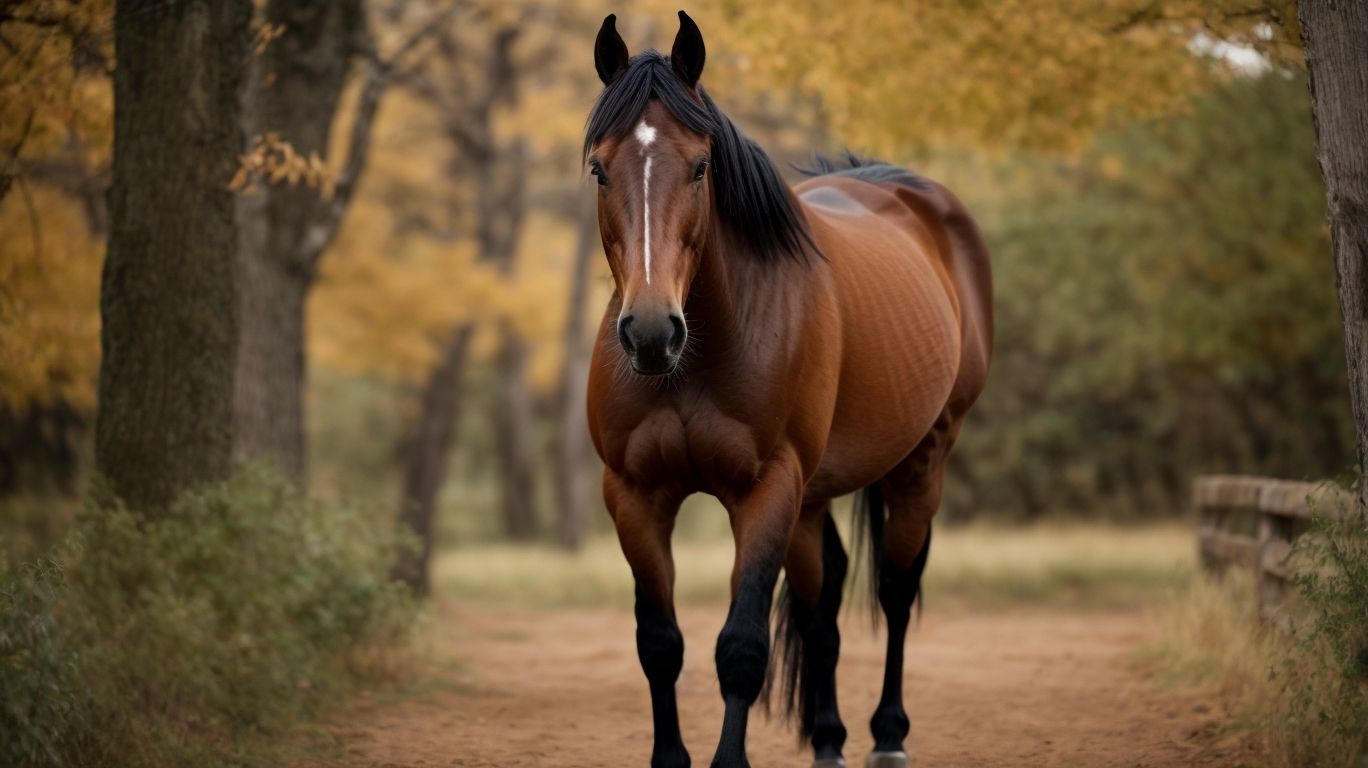 Early and Proper Socialization - Horse Behavior Management - Handling Territorial Behavior 