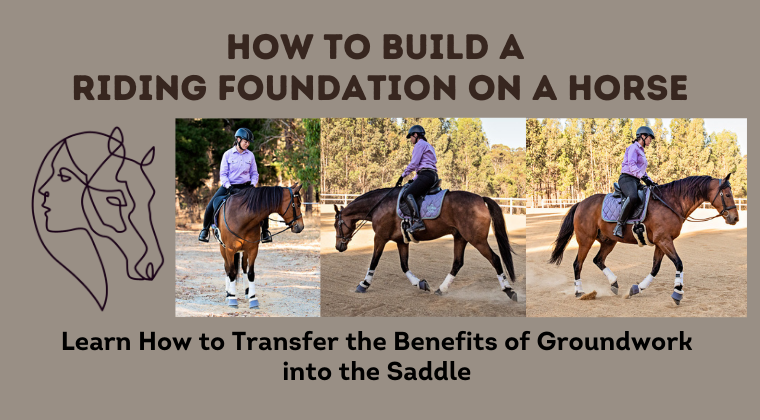 Introduction to Riding: Foundational Skills for Horse Training