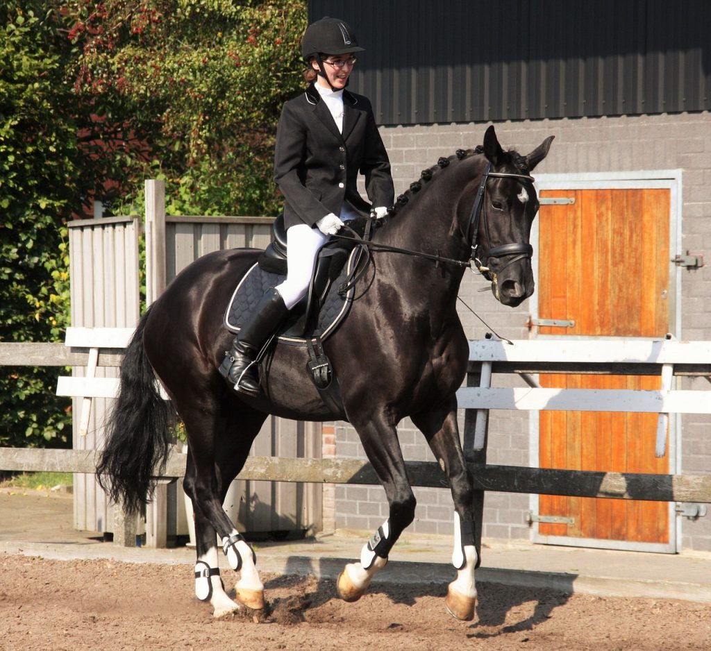 Mastering Balance in Competitive Dressage