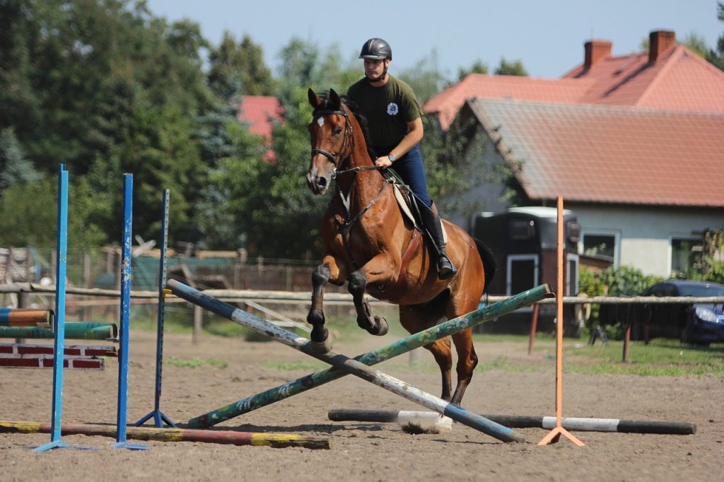 Mastering Balance in Grand Prix Show Jumping