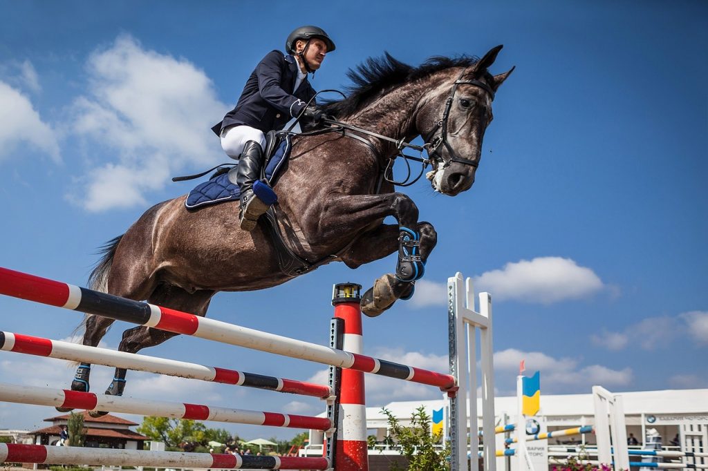 Mastering Balance in Grand Prix Show Jumping