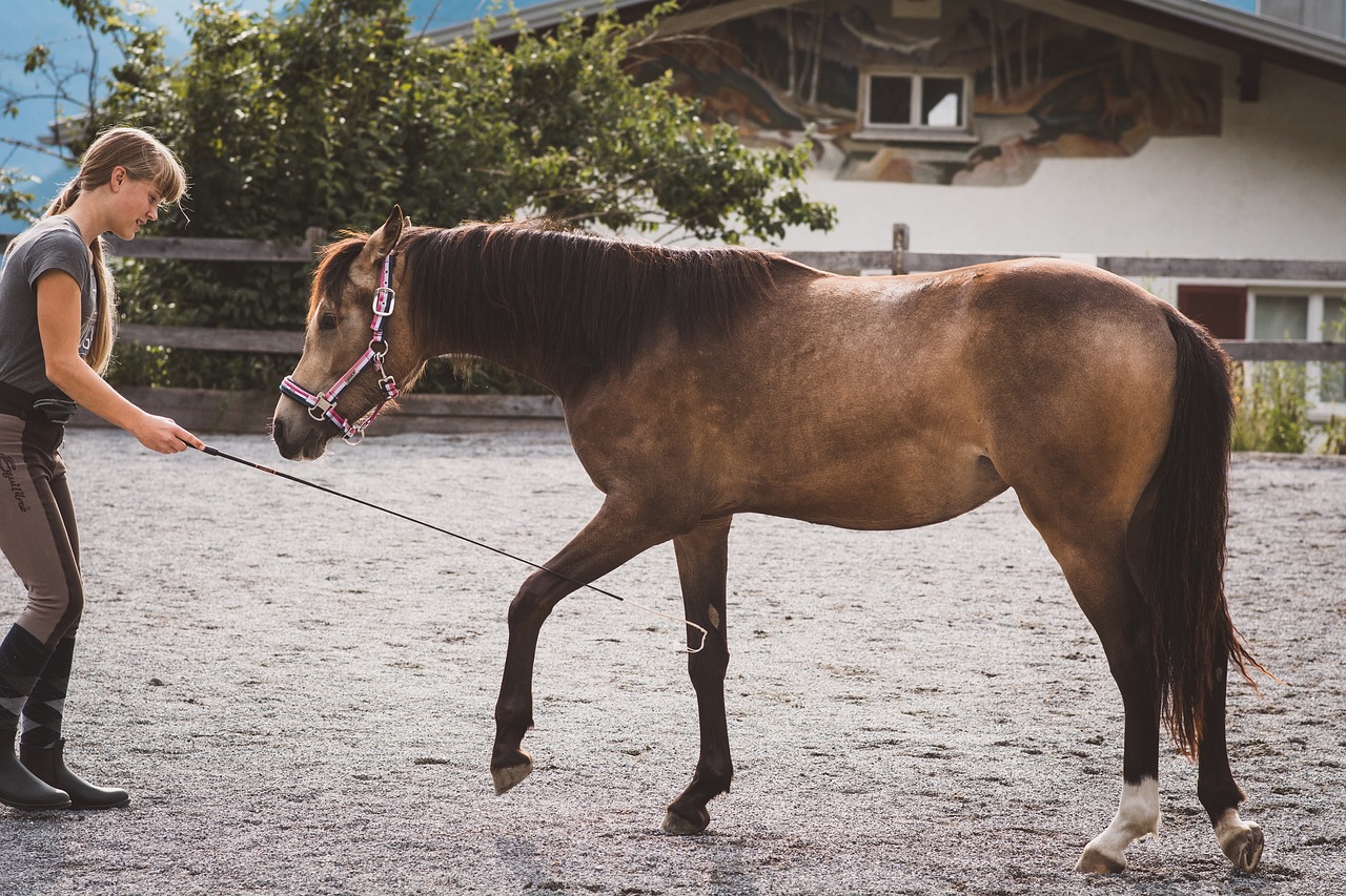 Mastering the Art of Leading a Horse