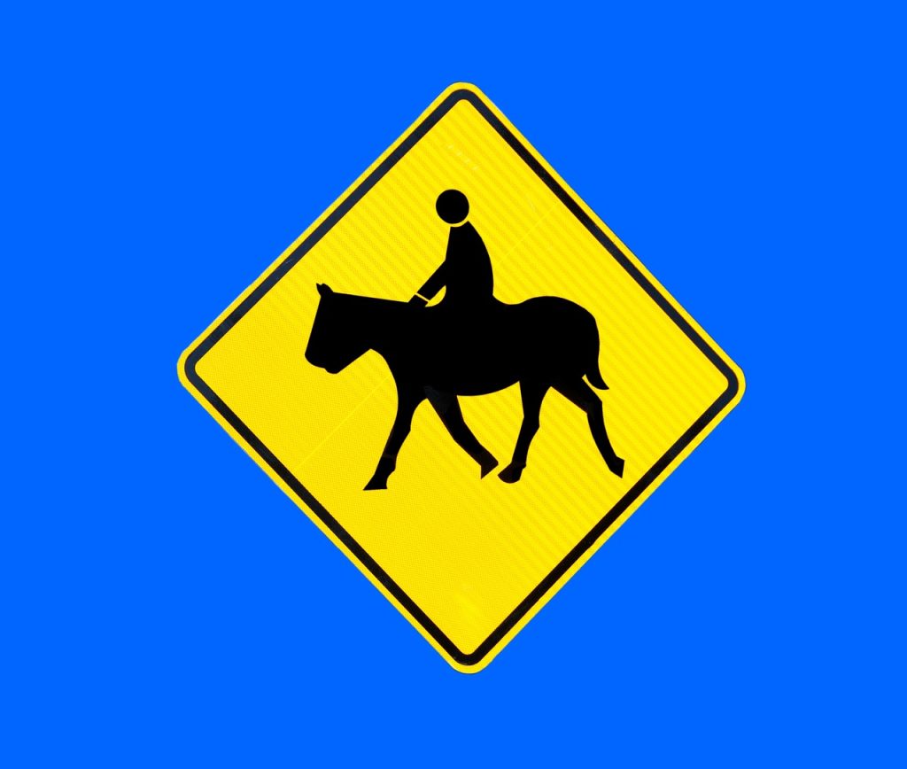 Understanding and Implementing Horse Safety Measures